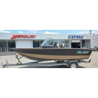 Alisa 520 brown 